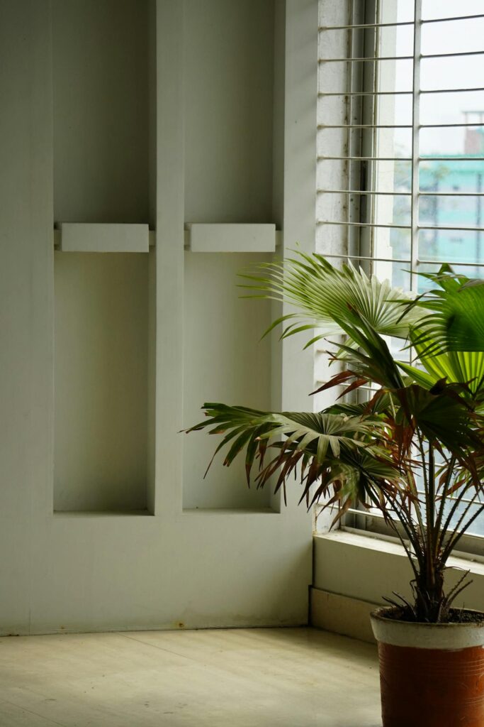 Image of a room with a large window covered by metal bars. To the right, there is a potted palm plant with broad, green, fan-shaped leaves. The floor is a light, natural wood color, and the wall has a minimalist, soft gray tone. The window allows natural light to fill the room, creating a serene and calming atmosphere. The plant adds a refreshing, organic touch to the clean, modern space. Showing single mom photoshoot idea.