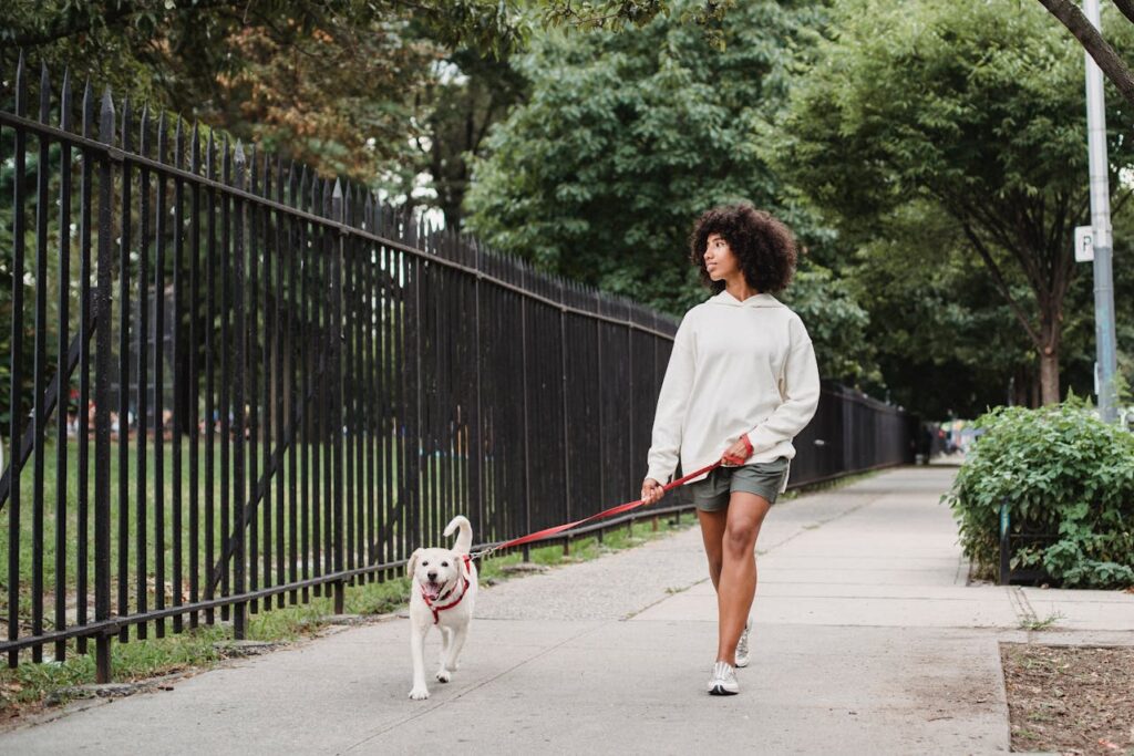 Image of a woman walking their dog on a sidewalk in a park-like setting. The individual is dressed casually in a white hoodie and green shorts, holding a red leash attached to a happy-looking white dog. The dog is walking confidently, tongue out, enjoying the stroll. On one side of the path is a black metal fence, while trees and greenery line the other side, creating a calm and relaxed atmosphere. The person appears focused on the walk, and the setting suggests a peaceful urban park environment representing hobbies in 40s.