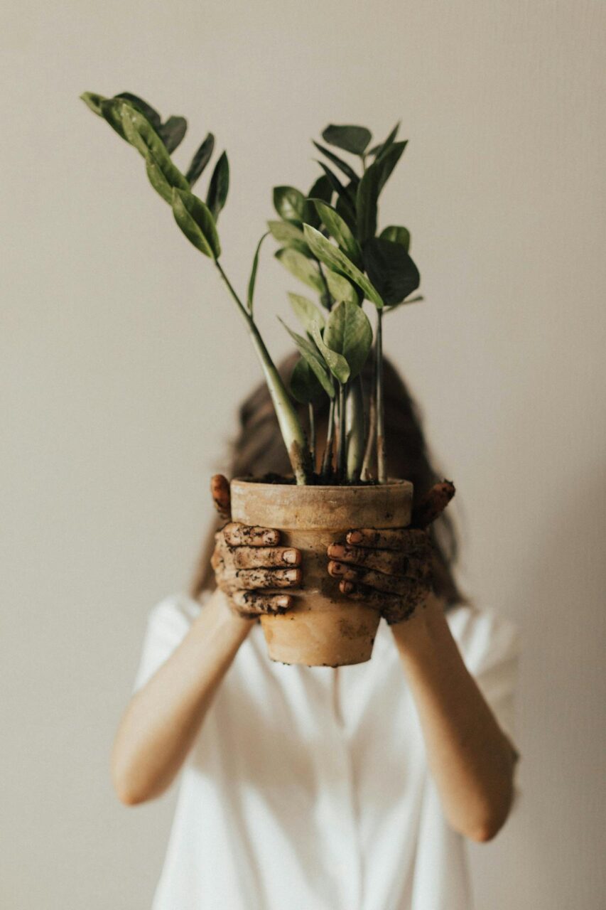 Image of a woman  holding a potted plant with muddy hands, face obscured by the plant, wearing a white shirt.